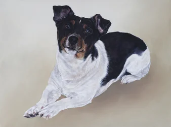 Spike, 2012 (acrilico su legno)
