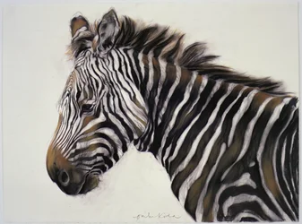 Zebra, 2002 (carboncino e gesso)
