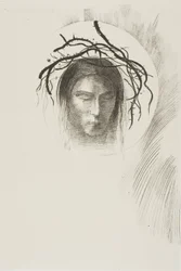 Il giorno appare finalmente,...e nel disco stesso del sole brilla il volto di Gesù Cristo, tavola 24 di 24
