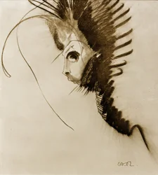Il drago