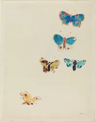 Cinque farfalle