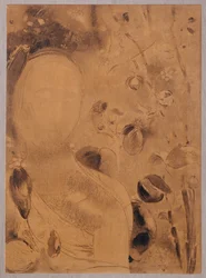 Fiori e viso (carboncino su carta)