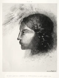 Omaggio a Goya: Al risveglio vidi la dea dell