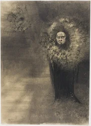 Pianta umana, c.1880