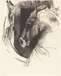 Il corsiero