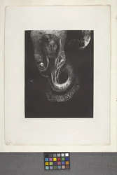Oannès: "Io, la prima coscienza del caos..."