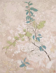 Fiori di Pero