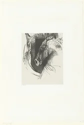 Cavallo da battaglia