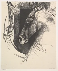 Il destriero