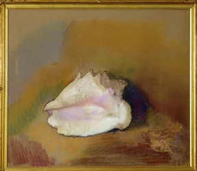 Il guscio