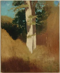 Albero con cielo blu
