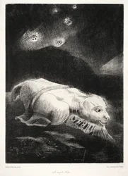 Quando la vita si risvegliava nelle profondità della materia oscura