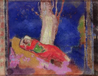 Donna che dorme sotto un albero