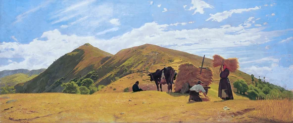Raccolta del grano nelle montagne di San Marcello