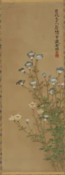 Fiori blu e bianchi su steli sottili