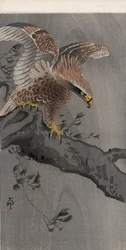 Aquila con ali spiegate su tronco d