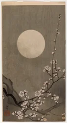 Pruno in fiore e luna