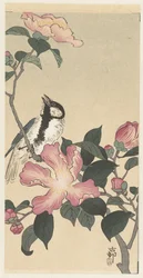 Cinciallegra su ramo con fiori rosa