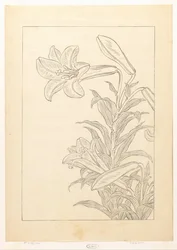 Gigli