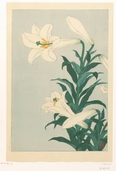 Gigli