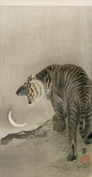 Tigre ruggente e luna crescente