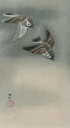 Passeri in volo