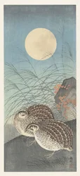 Due quaglie alla luna piena
