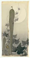 Cetriolo selvatico con luna piena