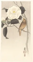 Uccello canoro e camelia in fiore