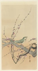 Uccello canoro e fiori di prugna