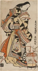 Una signora elegante