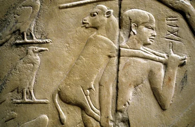 (dettaglio) di un rilievo che raffigura un uomo che porta un animale sacrificale