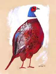 Fagiano rosso intenso