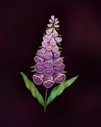 Elegante digitale viola