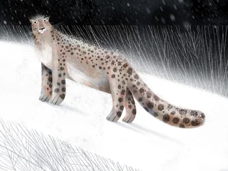 Notte invernale con il leopardo delle nevi