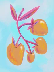 Frutta dai colori vivaci