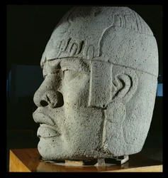 Testa colossale 4 da San Lorenzo, Veracruz, Messico, preclassico (basalto)