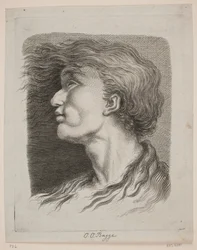Ritratto di uomo con capelli svolazzanti