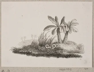 Il serpente