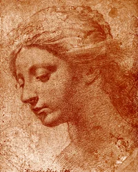 Testa di ragazza