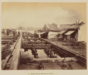 Fabbrica di indaco (caricamento delle vasche)