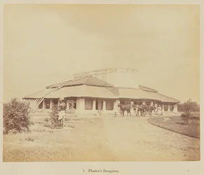 Bungalow del Piantatore
