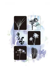 Sagome botaniche ad acquerello