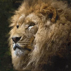 Il maestoso leone dorato