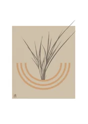 Arco botanico minimalista