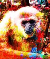 Ritratto vivace di un gibbone