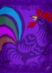 Gallo vivace