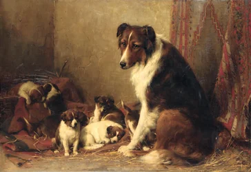 Un collie con i suoi cuccioli