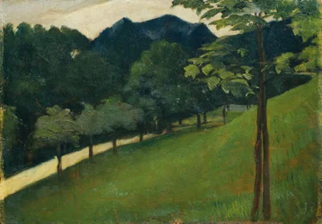 Vista da un pendio verde verso un viale