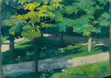 Viale dei castagni